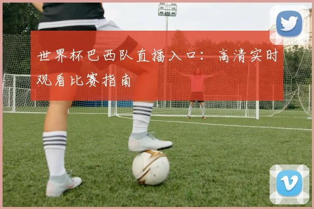 世界杯巴西队直播入口:高清实时观看比赛指南