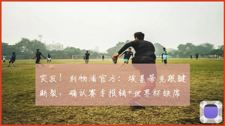 突发！利物浦官方：埃基蒂克跟腱断裂，确认赛季报销+世界杯缺席