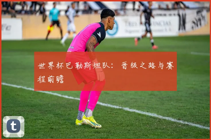世界杯巴勒斯坦队：晋级之路与赛程前瞻